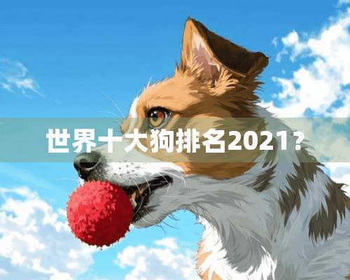 世界十大狗排名2021？