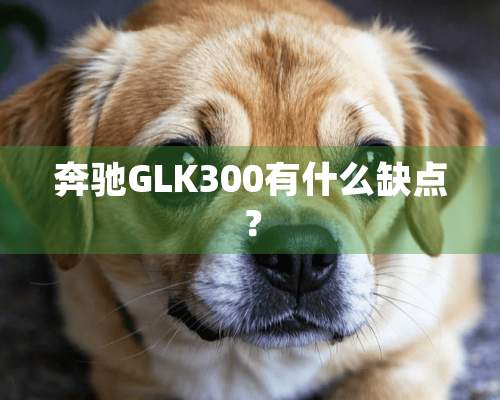 奔驰GLK300有什么缺点？