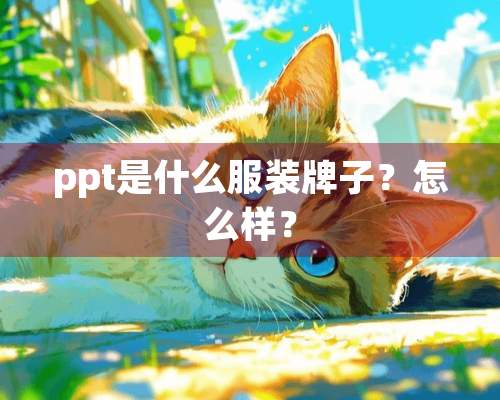 ppt是什么服装牌子？怎么样？