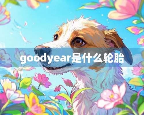 goodyear是什么轮胎