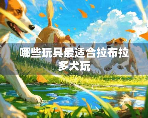 哪些玩具最适合拉布拉多犬玩