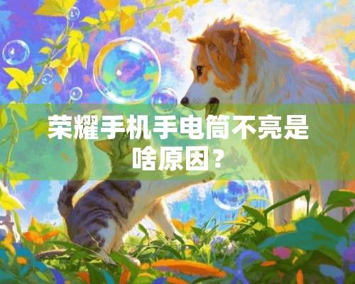 荣耀手机手电筒不亮是啥原因？