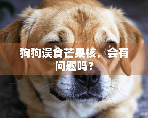 狗狗误食芒果核，会有问题吗？