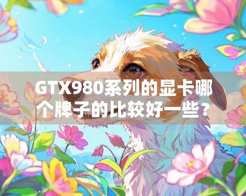 GTX980系列的显卡哪个牌子的比较好一些？