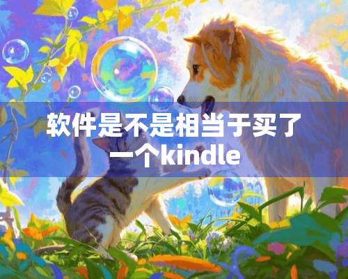 软件是不是相当于买了一个kindle