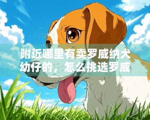 附近哪里有卖罗威纳犬幼仔的，怎么挑选罗威纳犬