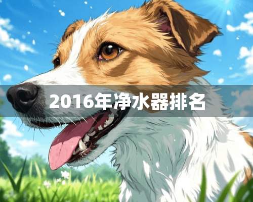 2016年***排名