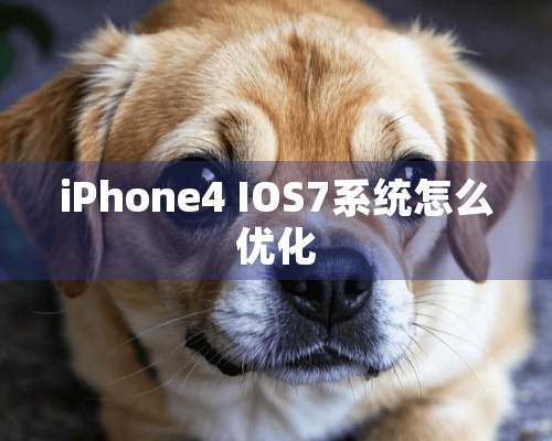 iPhone4 IOS7系统怎么优化