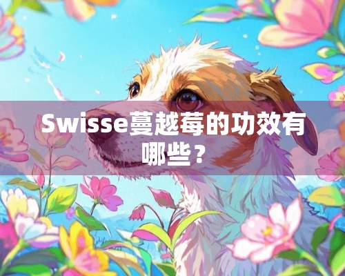 Swisse蔓越莓的功效有哪些？