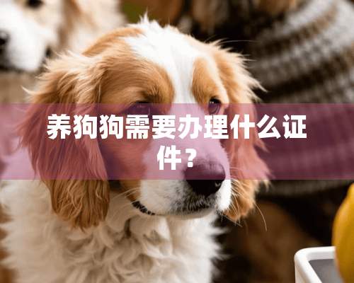 养狗狗需要办理什么证件？