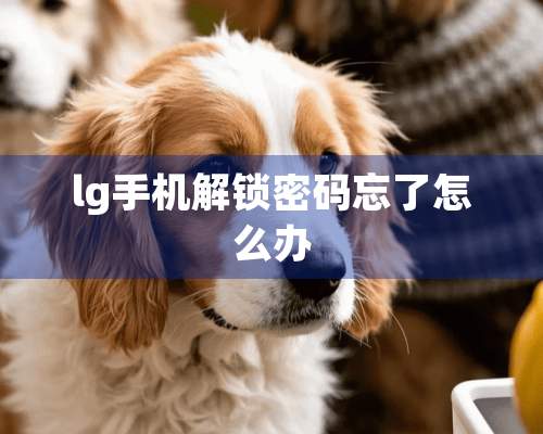 lg手机解锁密码忘了怎么办