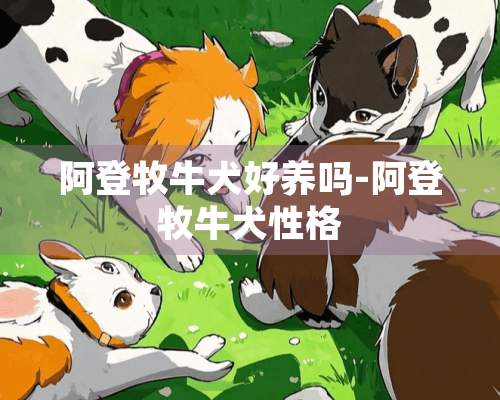 阿登牧牛犬好养吗-阿登牧牛犬性格