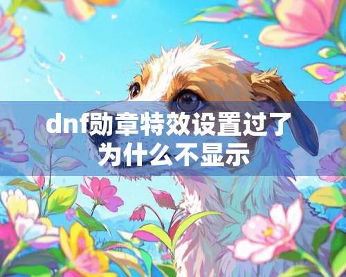 dnf勋章特效设置过了 为什么不显示