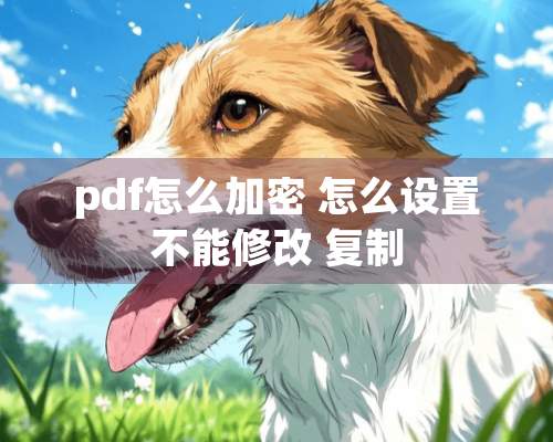 pdf怎么加密 怎么设置不能修改 复制