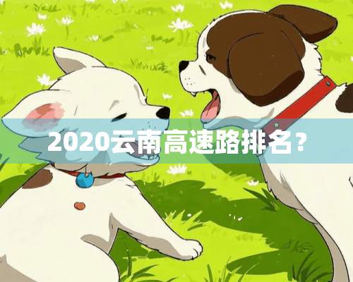 2020云南高速路排名？