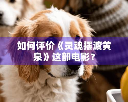 如何评价《灵魂摆渡黄泉》这部电影？