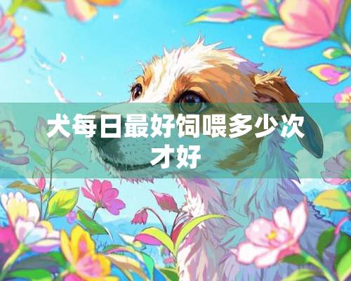 犬每日最好饲喂多少次才好