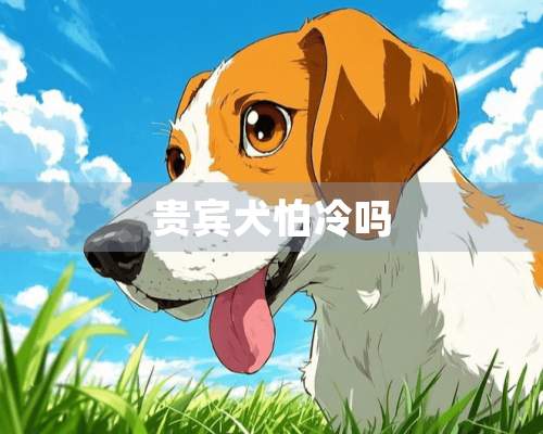 贵宾犬怕冷吗