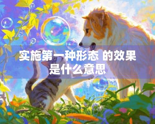 实施第一种形态 的效果是什么意思