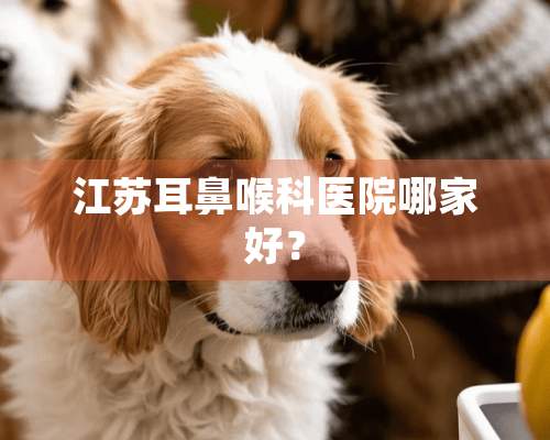 江苏耳鼻喉科医院哪家好？