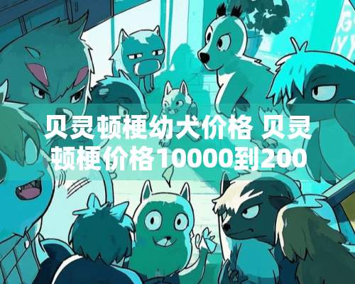 贝灵顿梗幼犬价格 贝灵顿梗价格10000到20000元