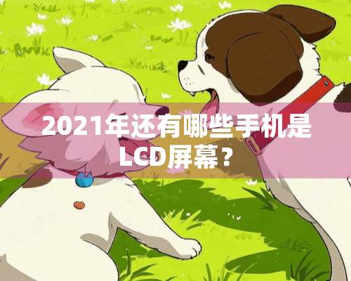 2021年还有哪些手机是LCD屏幕？