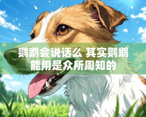 鹦鹉会说话么 其实鹦鹉能用是众所周知的