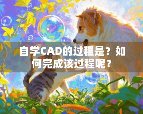 自学CAD的过程是？如何完成该过程呢？