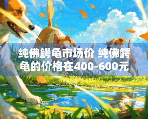 纯佛鳄龟市场价 纯佛鳄龟的价格在400-600元