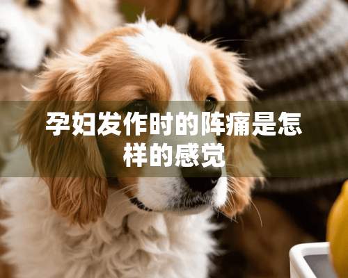 孕妇发作时的阵痛是怎样的感觉