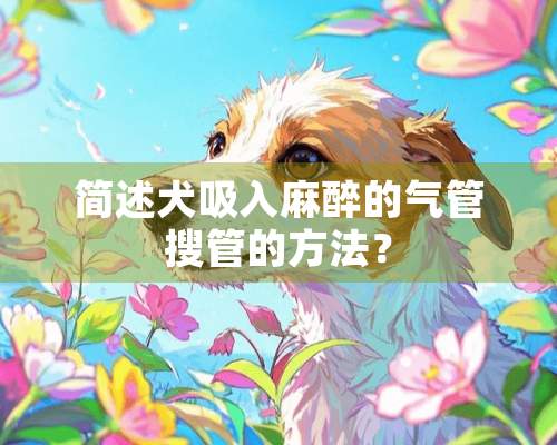 简述犬吸入**的气管搜管的方法？