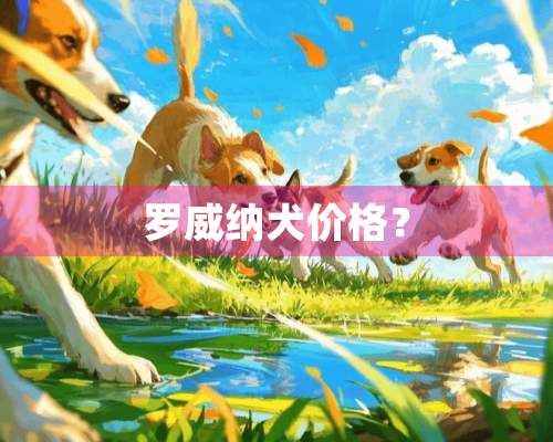 罗威纳犬价格？