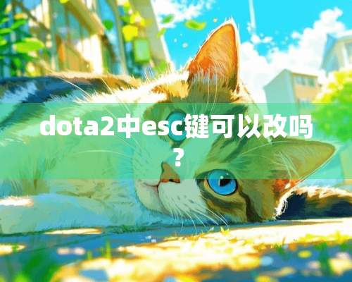 dota2中esc键可以改吗？