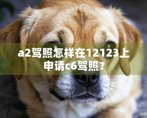 a2驾照怎样在12123上申请c6驾照？