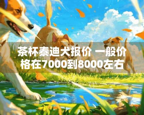 茶杯泰迪犬报价 一般价格在7000到8000左右