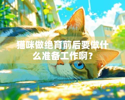 猫咪做绝育前后要做什么准备工作啊？