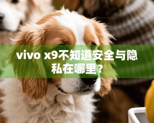 vivo x9不知道安全与隐私在哪里？