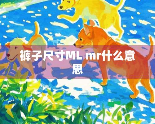 裤子尺寸ML mr什么意思