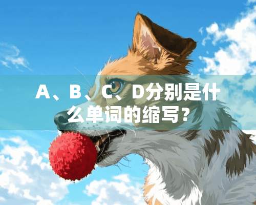 A、B、C、D分别是什么单词的缩写？