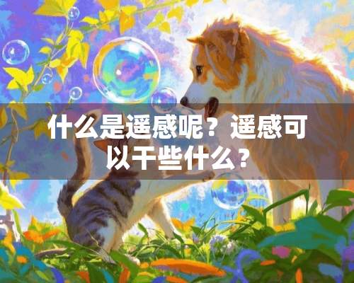 什么是遥感呢？遥感可以干些什么？