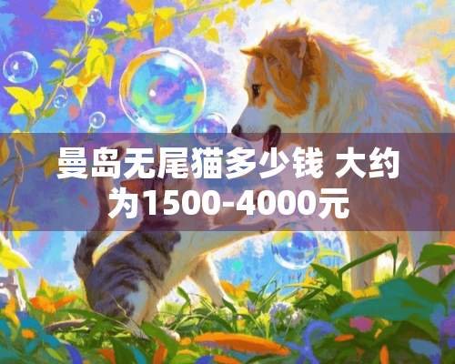 曼岛无尾猫多少钱 大约为1500-4000元