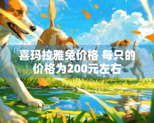 喜玛拉雅兔价格 每只的价格为200元左右