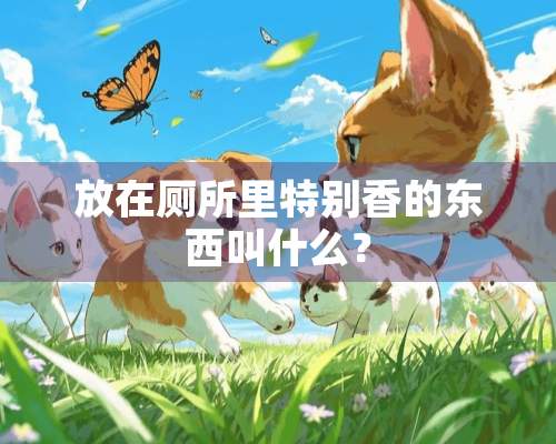 放在厕所里特别香的东西叫什么？