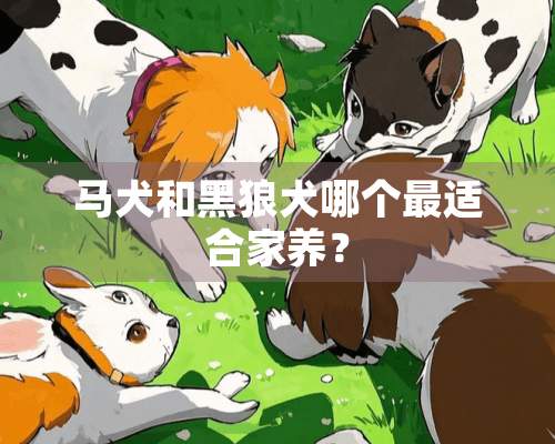 马犬和黑狼犬哪个最适合家养？