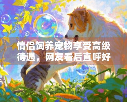 情侣饲养宠物享受高级待遇，网友看后直呼好羡