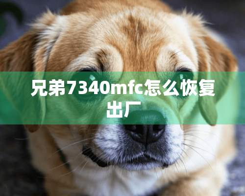 兄弟7340mfc怎么恢复出厂