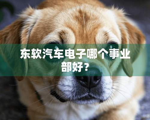 东软汽车电子哪个事业部好？