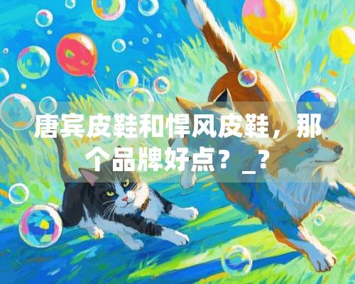 唐宾皮鞋和悍风皮鞋，那个品牌好点？_？