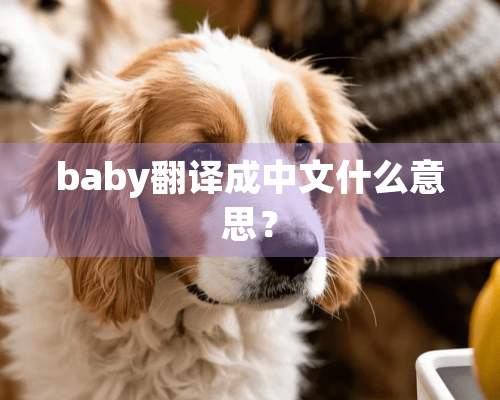 baby翻译成中文什么意思？