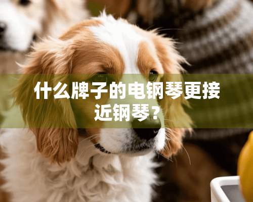 什么牌子的电钢琴更接近钢琴？